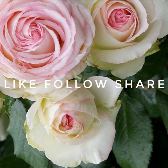 Eileen Fisher Dresses & Skirts - Follow Game #2!